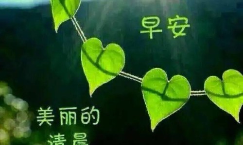 中药材虎骨是真的老虎骨头吗-老虎骨的药用-专业老虎骨头的作用是什么平台-老虎的骨头真有药用价值吗